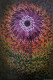 FloraGlow (ART-16938-113420) - Handpainted Art Painting - 17in X 25in