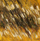 Golden Wind Abstract Art (ART-2571-113495) - Handpainted Art Painting - 18in X 18in