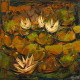 Water Lily Paintings (ART-2571-113532) - Handpainted Art Painting - 18in X 18in