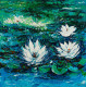 White Water Lily Artworks (ART-2571-113533) - Handpainted Art Painting - 18in X 18in
