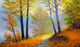 Beautiful Walkway Through A Forest In Spring Time (PRT_15921) - Canvas Art Print - 51in X 30in
