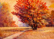 Beautiful Nature 5 (PRT_15939) - Canvas Art Print - 42in X 30in
