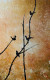 Whispers Of Birds (ART-17270-113699) - Handpainted Art Painting - 36in X 60in