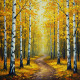 Golden Silence (PRT-15697-113756) - Canvas Art Print - 36in X 36in