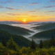 Golden Breath Of Dawn (PRT-15697-113771) - Canvas Art Print - 36in X 36in