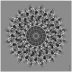 MANDALA (PRT-17286-113882) - Canvas Art Print - 24in X 24in