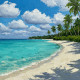 Turquoise Beach (PRT-15697-113948) - Canvas Art Print - 36in X 36in