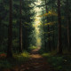 The Golden Path (PRT-15697-113945) - Canvas Art Print - 36in X 36in