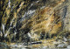 Storm (PRT-8841-113966) - Canvas Art Print - 36in X 25in