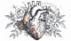 Life's Intricate Design (PRT-8740-113980) - Canvas Art Print - 24in X 14in