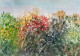 Shadows On Foliage (ART-8841-114055) - Handpainted Art Painting - 11in X 8in