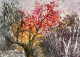 Swaying Wildflowers (ART-8841-114056) - Handpainted Art Painting - 11in X 8in