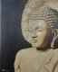 Bhudha (ART-8295-114016) - Handpainted Art Painting - 14in X 20in