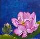 The Lotus (ART-8370-114064) - Handpainted Art Painting - 10in X 10in