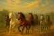 7 Running Horses Painting (ART-3319-114296) - Handpainted Art Painting - 48in X 24in