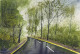 Reflections On The Way (ART-8127-114410) - Handpainted Art Painting - 12in X 8in