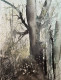 Barren Woodland (PRT-8841-114452) - Canvas Art Print - 18in X 24in