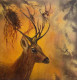 Woven Wilderness (Golden Hour Series 03) (PRT-8271-114485) - Canvas Art Print - 12in X 12in