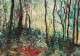 Vibrant Woodland (PRT-8841-114552) - Canvas Art Print - 30in X 21in