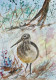 Bird 17 (ART-8841-114772) - Handpainted Art Painting - 8in X 11in