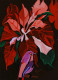 Red Beauty (ART-15910-114770) - Handpainted Art Painting - 8in X 11in