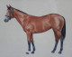 Horse Canvas Wall Art Painting (ART-7555-114691) - Handpainted Art Painting - 24in X 24in
