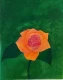The Silent Bloom (ART-17478-114718) - Handpainted Art Painting - 10in X 12in