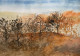 Autumn Around (PRT-8841-114879) - Canvas Art Print - 24in X 17in