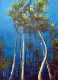 Nature Painting (ART-16470-114848) - Handpainted Art Painting - 16in X 22in
