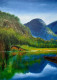 Mountain Scene (ART-16470-114852) - Handpainted Art Painting - 14in X 20in