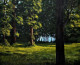 Rays Of Hope (ART-464-114873) - Handpainted Art Painting - 30in X 24in
