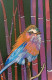 Fluffy Bird With Colorful Bamboo (ART-15910-114903) - Handpainted Art Painting - 8in X 11in