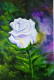 Impressionistic White Rose Flower (ART-1302-114976) - Handpainted Art Painting - 8in X 11in