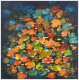 Waterlily-0035 (ART-16405-115054) - Handpainted Art Painting - 30in X 30in