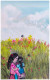 Beautiful Life 3 (PRT-9093-115177) - Canvas Art Print - 15in X 24in