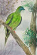 Bird 22 (PRT-8841-115253) - Canvas Art Print - 16in X 24in