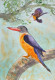 Bird 24 (ART-8841-115415) - Handpainted Art Painting - 8in X 11in