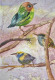 Bird 25 (ART-8841-115416) - Handpainted Art Painting - 8in X 11in