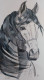 Majestic Grace - Horse Painting (PRT-15701-115446) - Canvas Art Print - 16in X 30in
