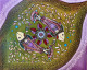 Fish Art (ART-17605-115602) - Handpainted Art Painting - 10in X 12in