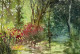 Serenity Around The Pond (PRT-8841-115622) - Canvas Art Print - 30in X 20in