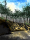A Hamlet In Binsar Woods (PRT-17631-115540) - Canvas Art Print - 9in X 12in