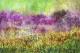 Vivid Meadows Under Fog (PRT-8841-115756) - Canvas Art Print - 24in X 16in