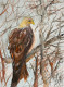 Bird 31 (ART-8841-115754) - Handpainted Art Painting - 8in X 11in