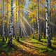 Golden Pathway (PRT-15697-115795) - Canvas Art Print - 60in X 60in