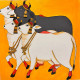 Pichwai Cows (ART-2399-115830) - Handpainted Art Painting - 13in X 13in