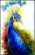 Peacock 01 (ART-17701-115806) - Handpainted Art Painting - 11in X 16in