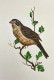 Bird Painting (ART-6706-115974) - Handpainted Art Painting - 12in X 15in