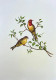 Bird Painting (ART-6706-115975) - Handpainted Art Painting - 12in X 15in