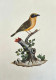 Bird Painting (ART-6706-115996) - Handpainted Art Painting - 12in X 15in